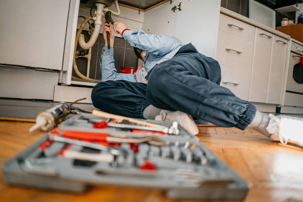 Best Water Softener Installation  in La Crosse, WI