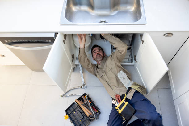 Best Plumbing Repair Near Me  in La Crosse, WI