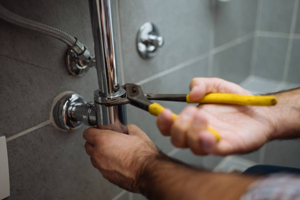 Best Commercial Plumbing Services  in La Crosse, WI