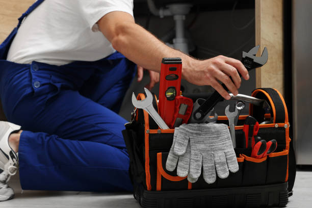 Best Residential Plumbing Services  in La Crosse, WI
