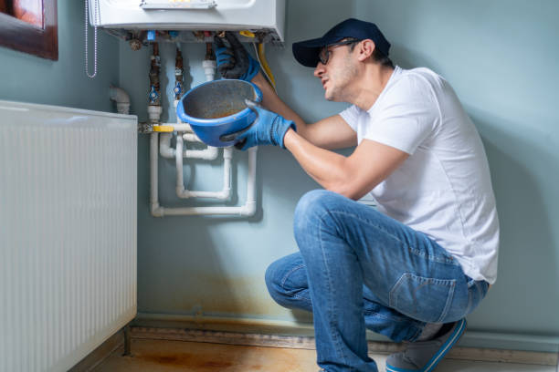 Best Local Plumber Services  in La Crosse, WI