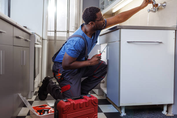 Best Plumbing Inspection Services  in La Crosse, WI